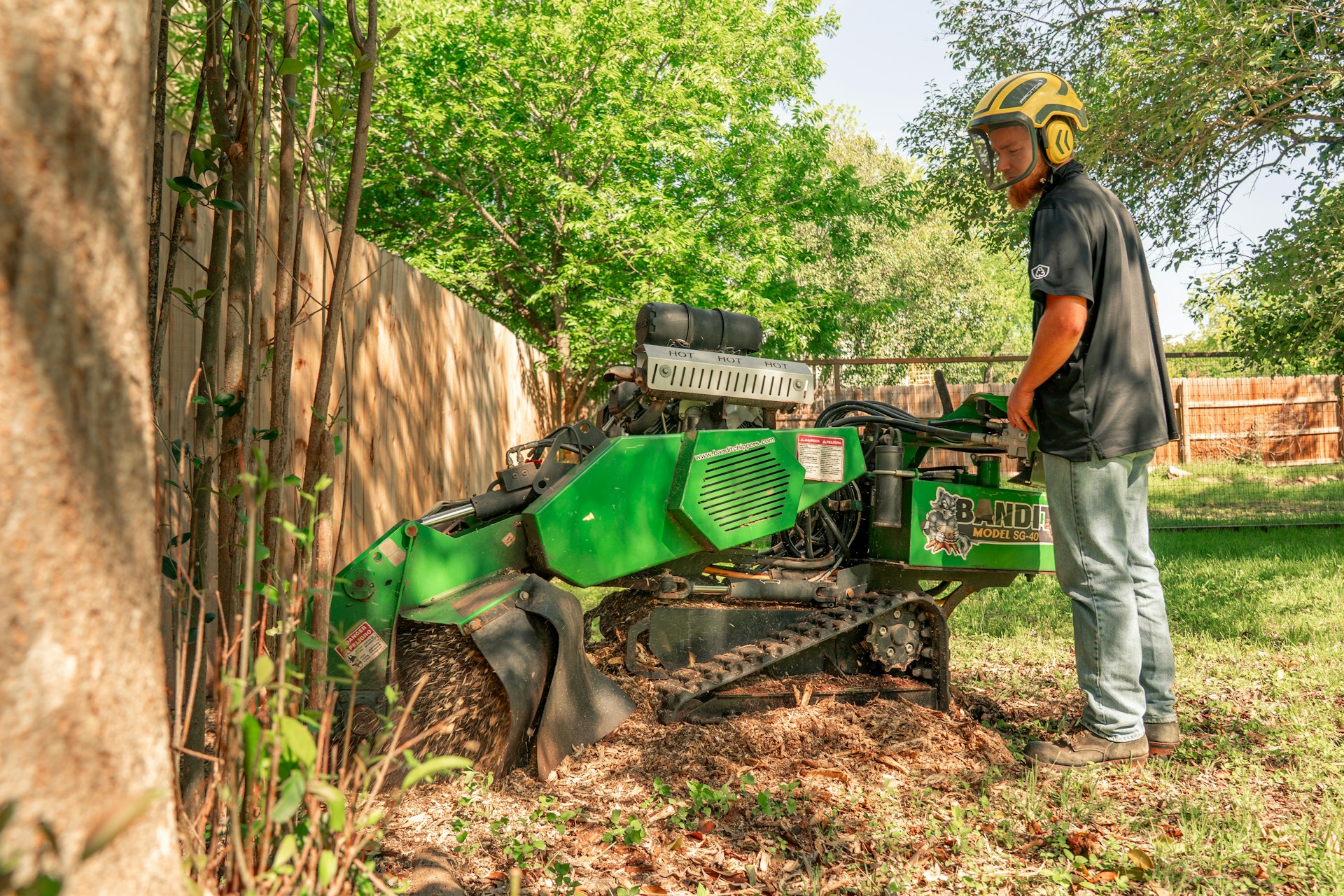Stump Removal