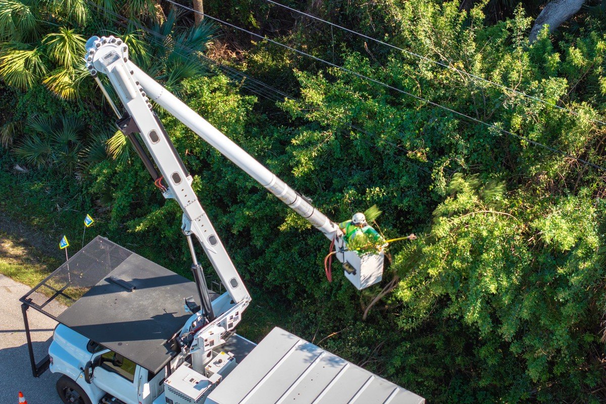 Tree Trimming